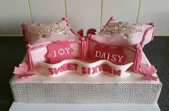 13535788_154320951652170_2077202685_n